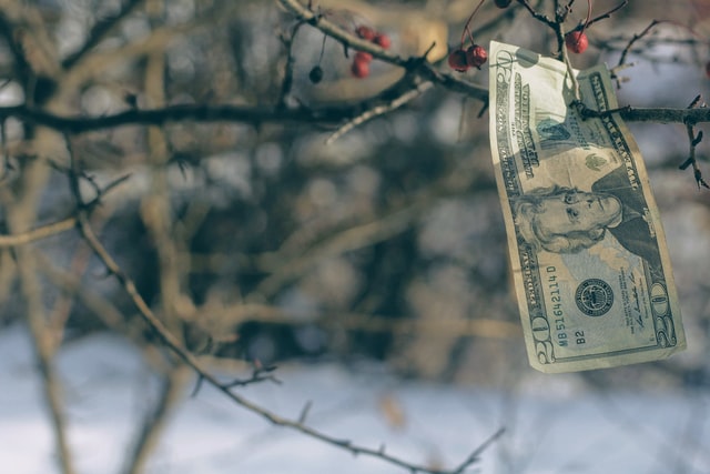 Fordele og ulemper ved investering & aktier